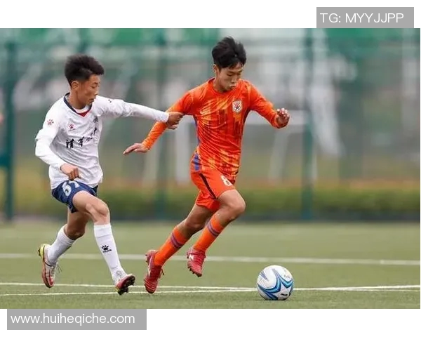 鲁能足球新篇章：重塑辉煌之路与未来展望